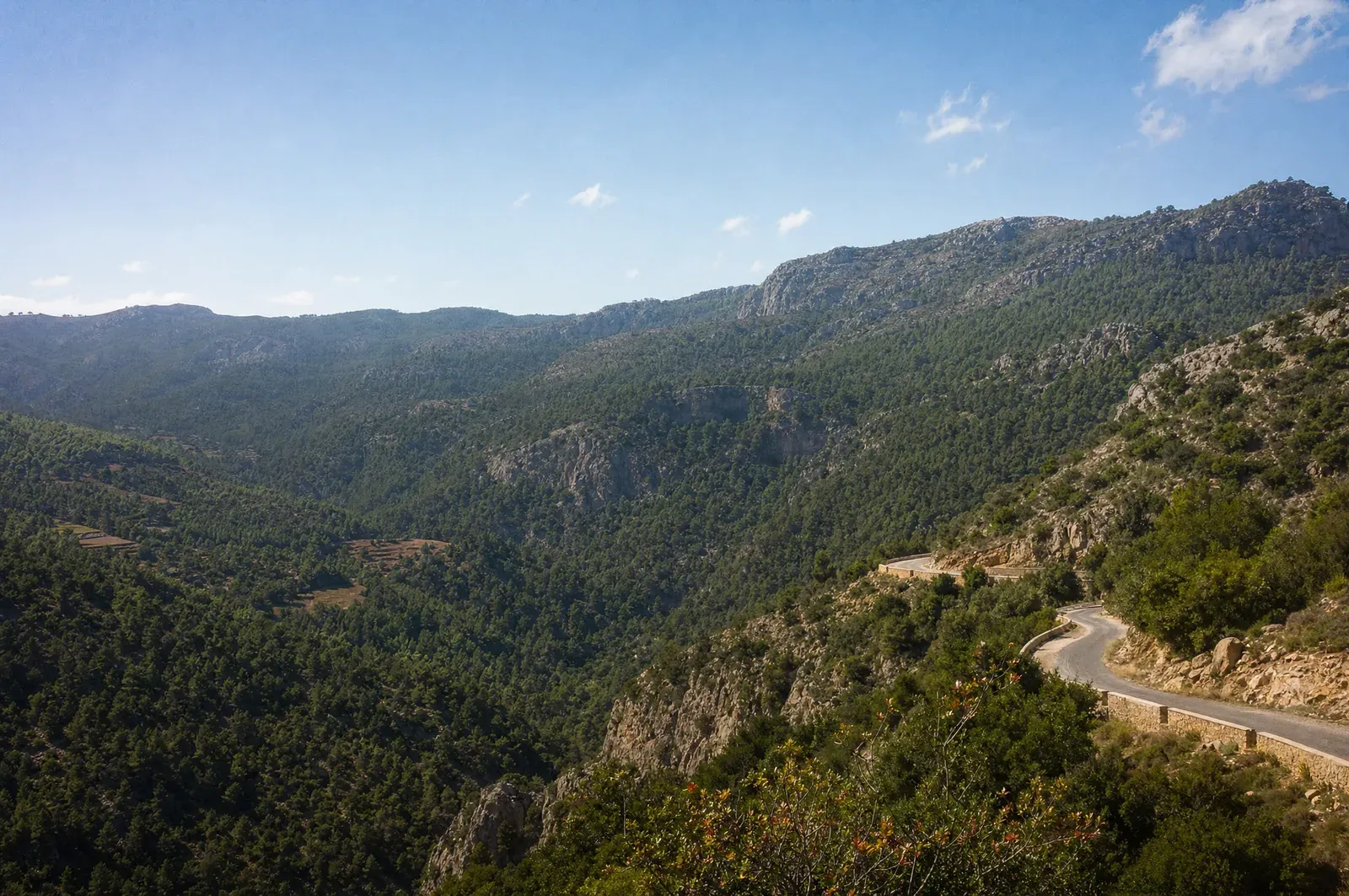 Montagnes verdoyantes de la vallée de Tafoughalt